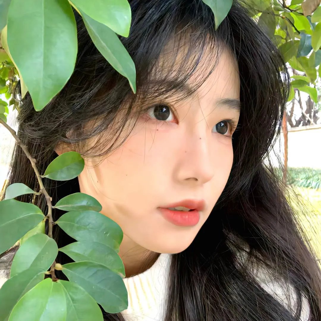 有言在仙